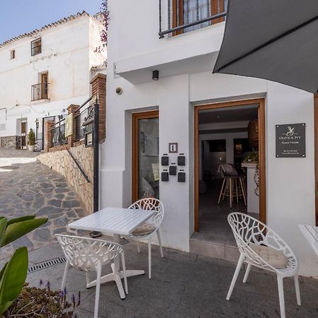 Olive & Ivy Guesthouse Canillas de Aceituno Buitenkant foto