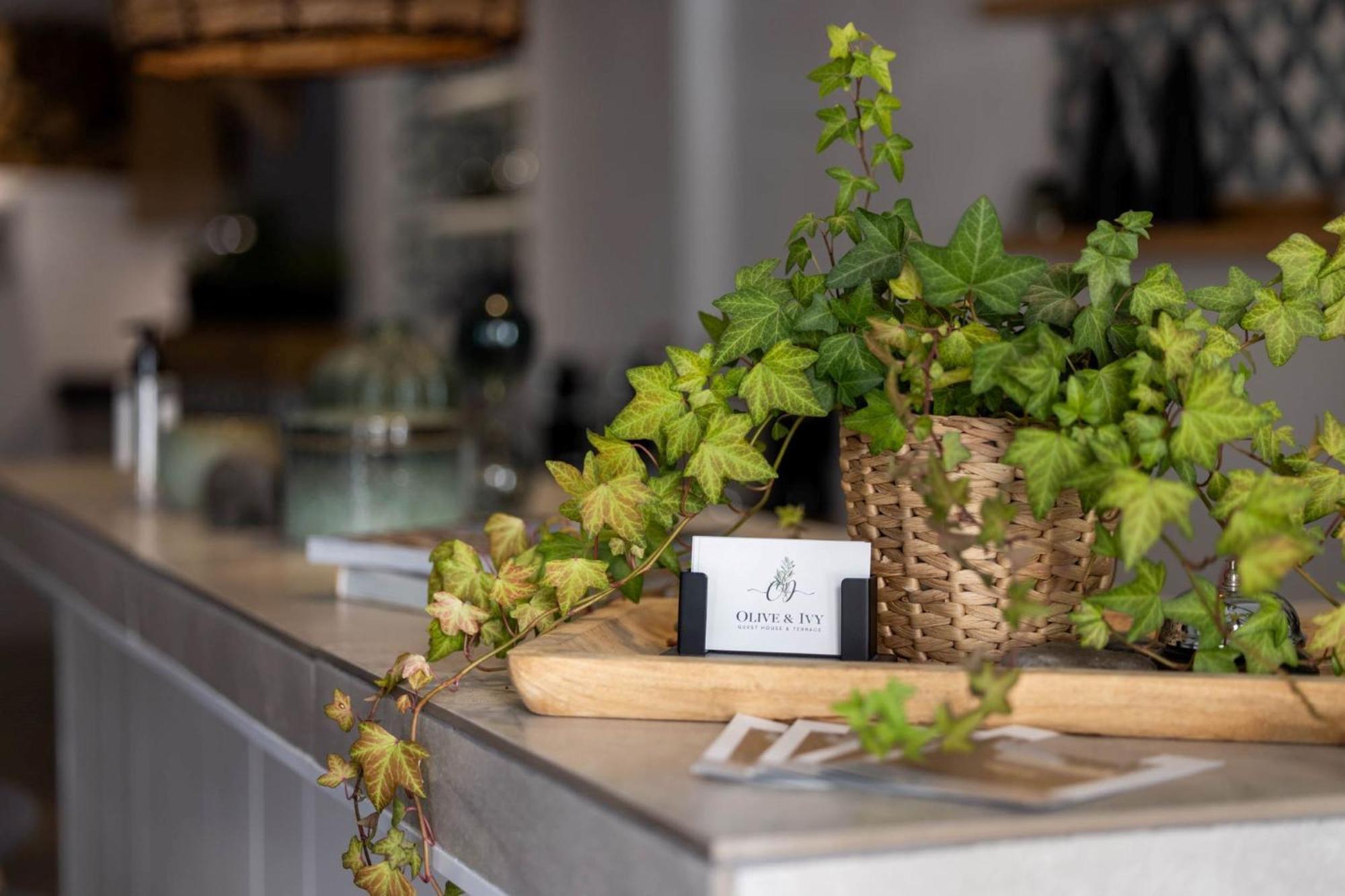 Olive & Ivy Guesthouse Canillas de Aceituno Buitenkant foto